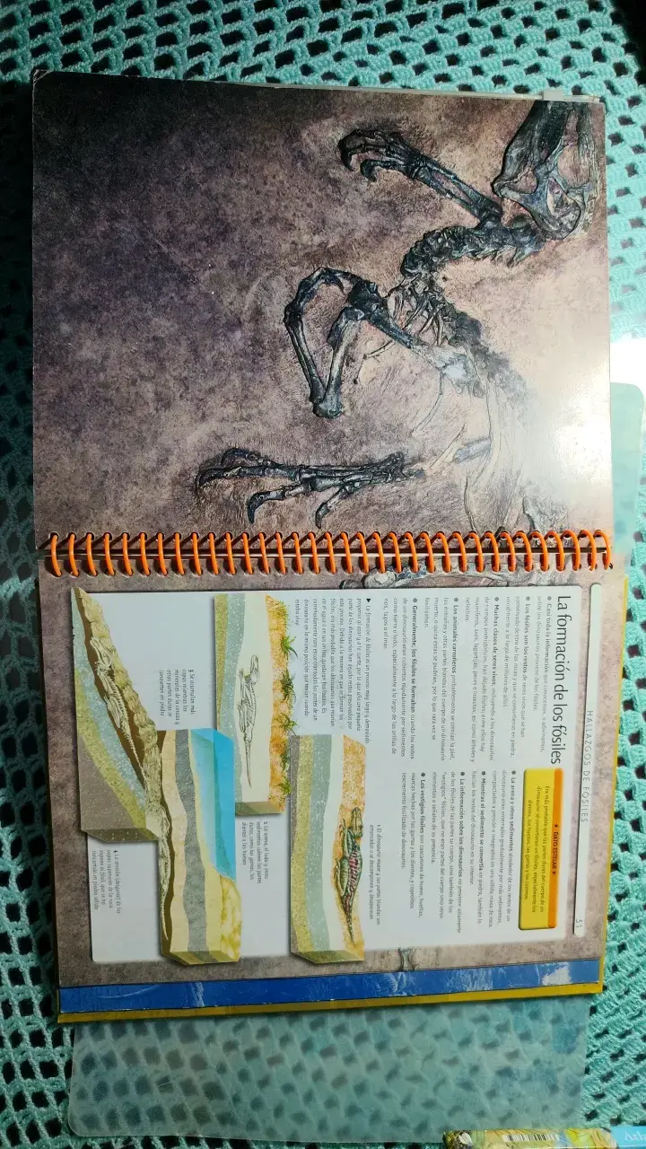 Libro Dinosaurios con Pósters Gigantes - 2