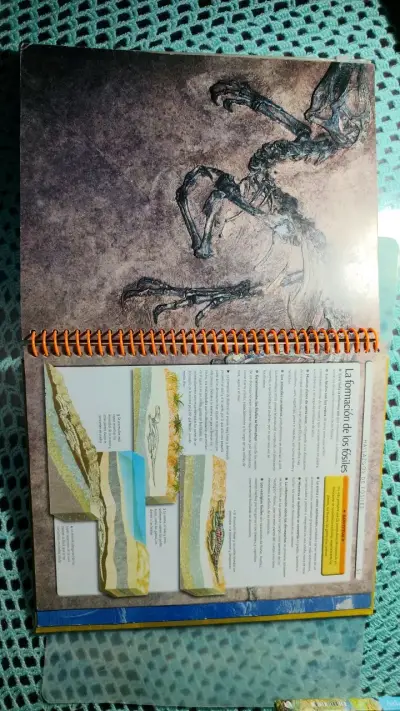 Libro Dinosaurios con Pósters Gigantes - miniatura 2