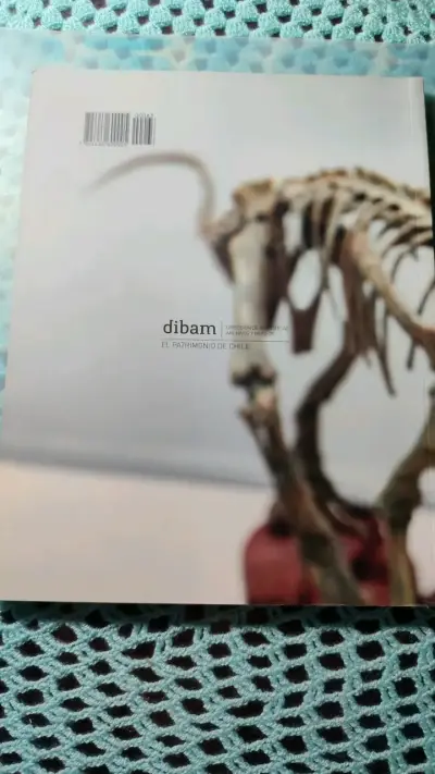 Revista PAT sobre dinosaurios chilenos - miniatura 3