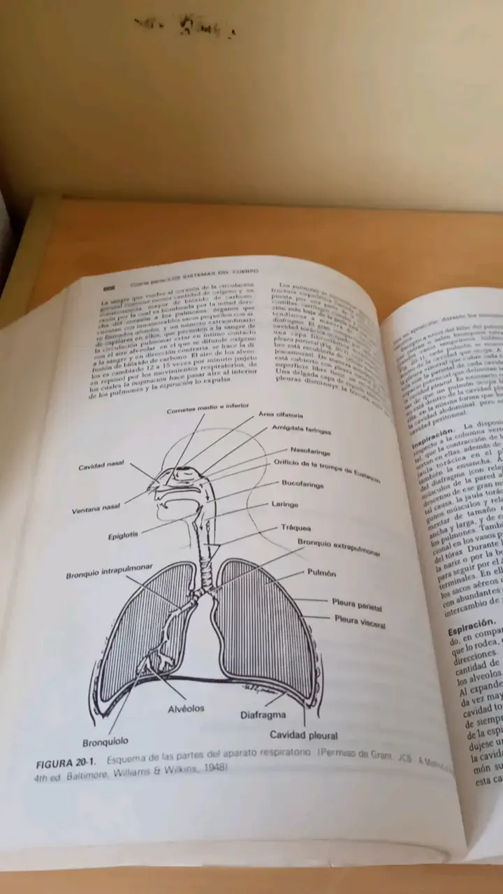 Libro Histología de HAM Novena Edición - 4