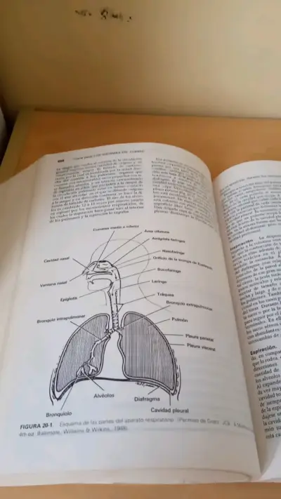 Libro Histología de HAM Novena Edición - miniatura 4