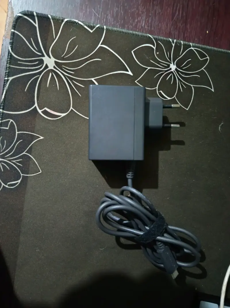Cargador de Pared Nintendo Original - 2