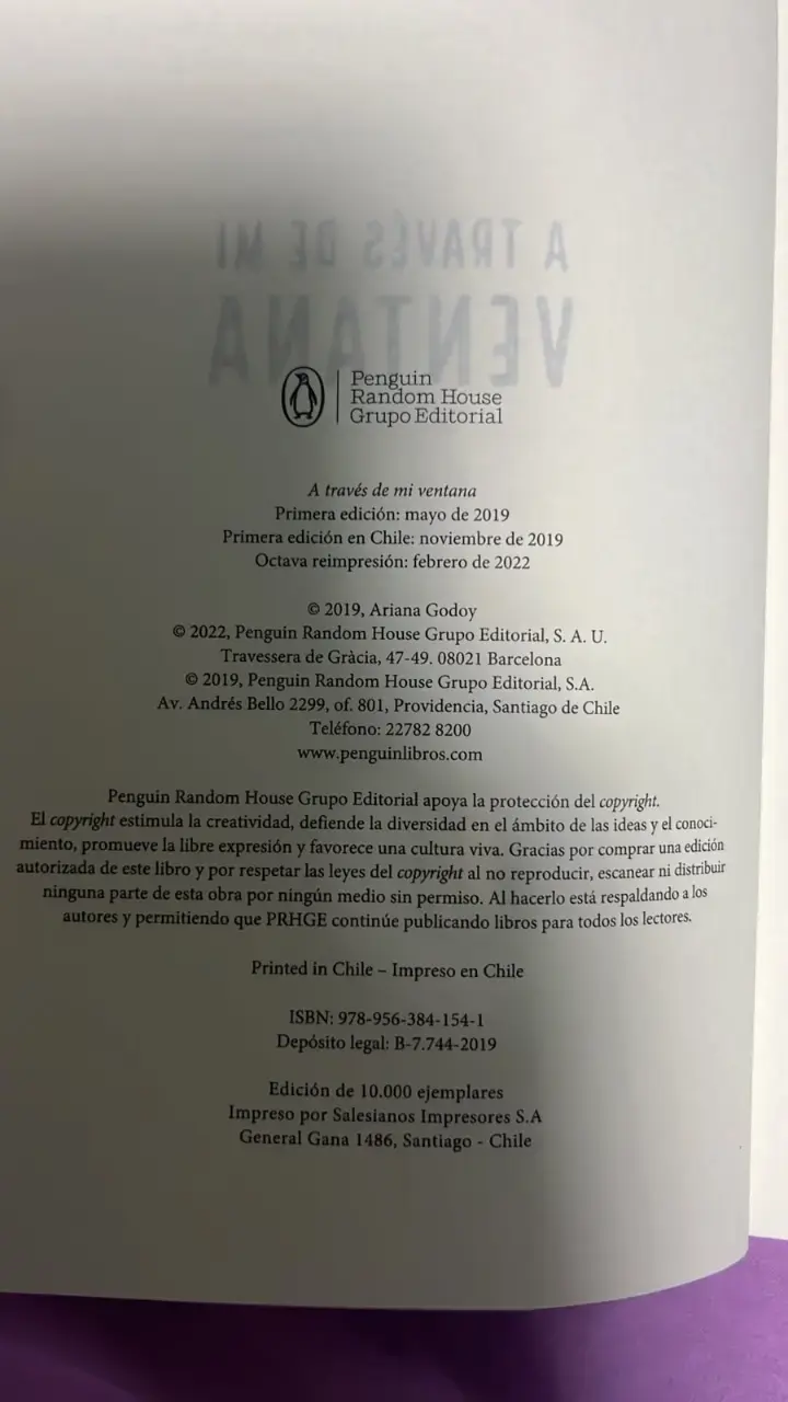 Libro 'A través de mi ventana' de Ariana Godoy - 4