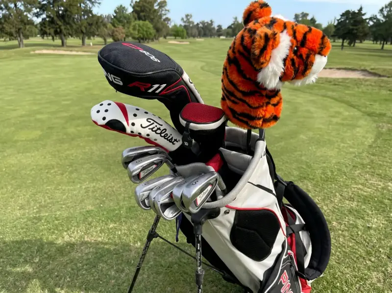 Set de golf completo Titleist PING + carro y telém - 4
