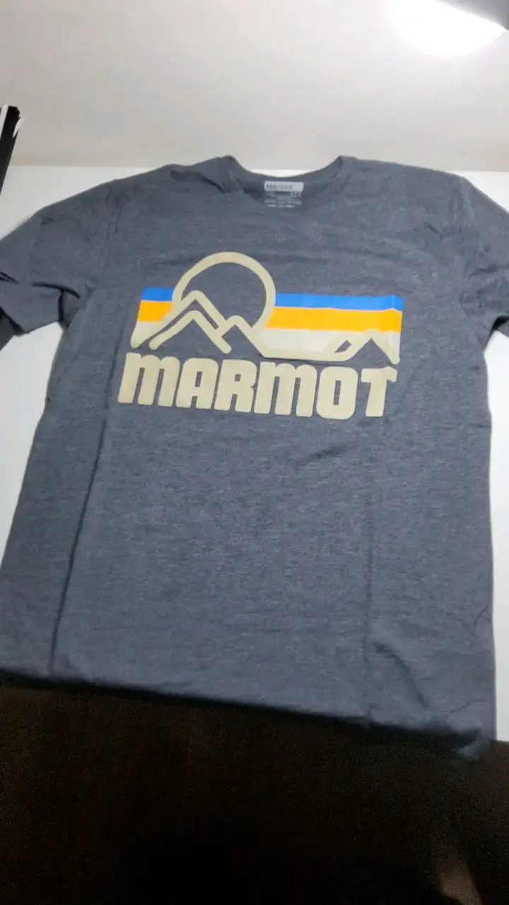 Polera gris Marmot con diseño de montaña