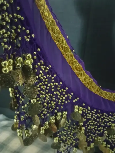 Falda de Danza Árabe con Monedas Doradas - miniatura 3