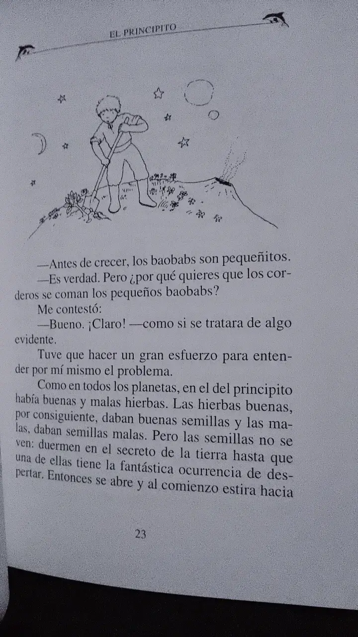 Libro El Principito - Editorial Zig-zag - 4