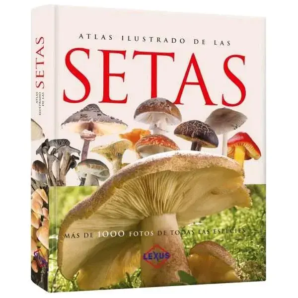 Lote de Atlas Ilustrados Lexus: Átomos, Setas y Madera - 2