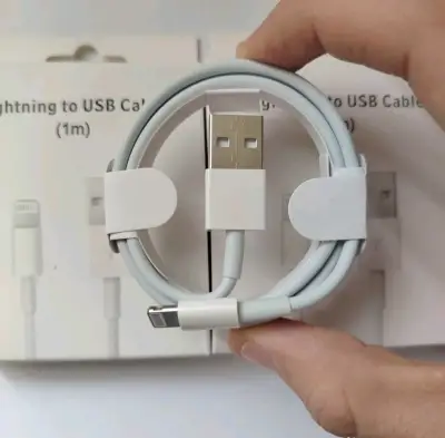 Cable iPhone Lightning a USB 1m - miniatura 1