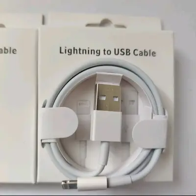 Cable iPhone Lightning a USB 1m - miniatura 2