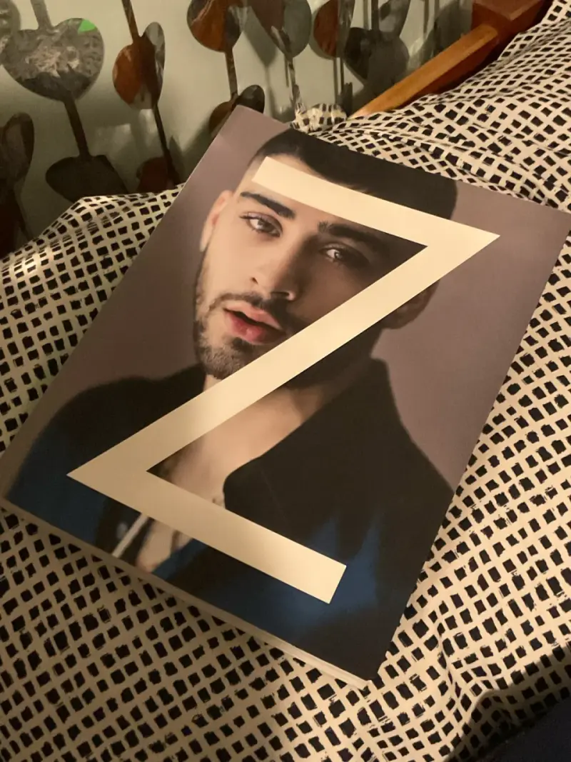 Libro 'Z' de Zayn Malik