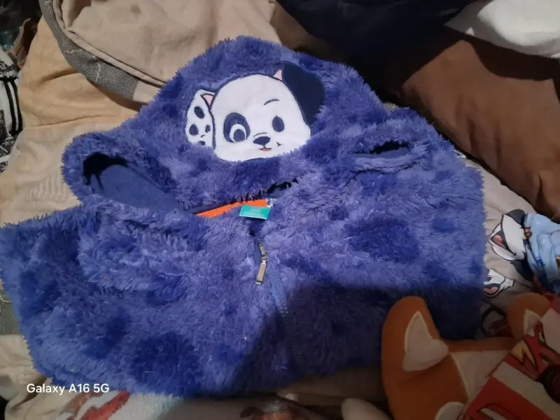 Polerón Infantil Azul con Capucha de Personaje