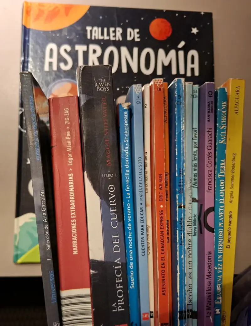 Lote de Libros