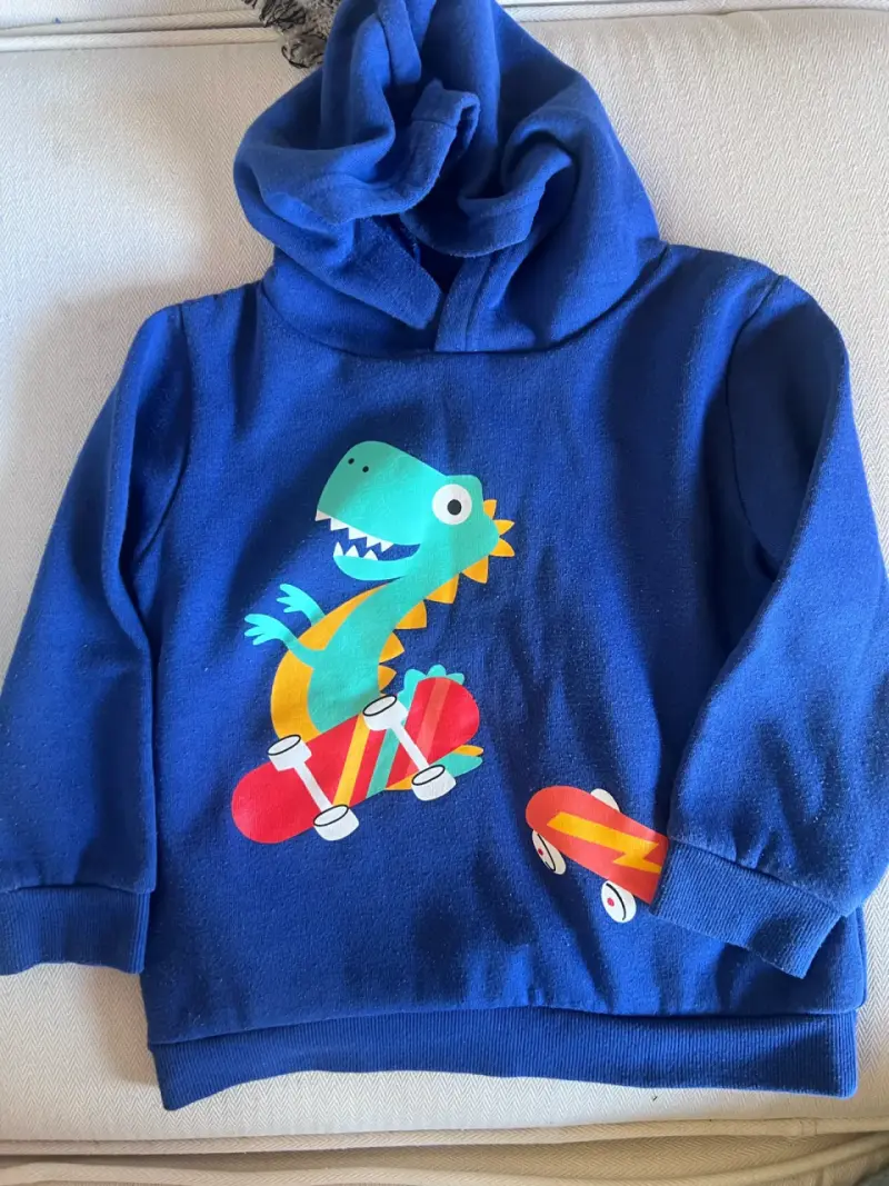 Polerón azul infantil con dinosaurio en patineta