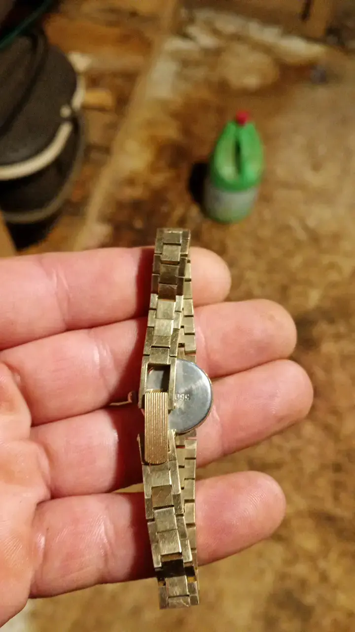 Reloj de pulsera dorado Cornavin clásico - 2