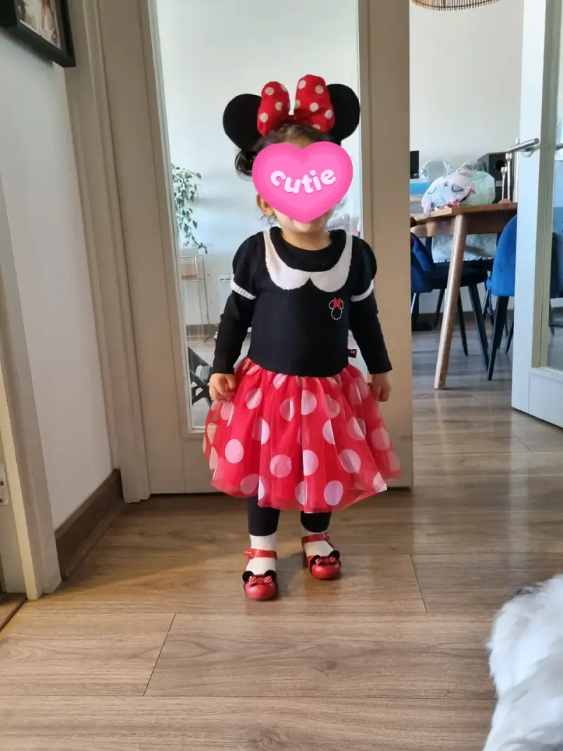 Disfraz de Minnie Mouse para niña