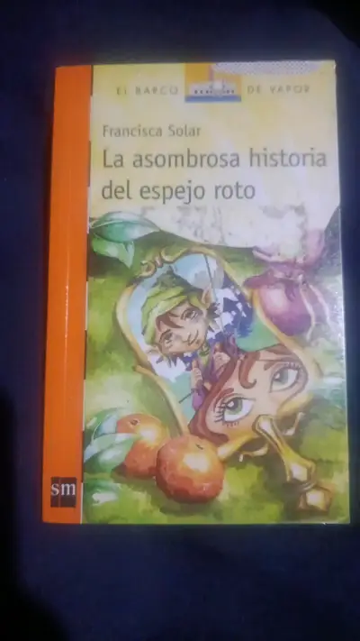 Libro La Asombrosa Historia del Espejo Roto de Francisca Solar - miniatura 1