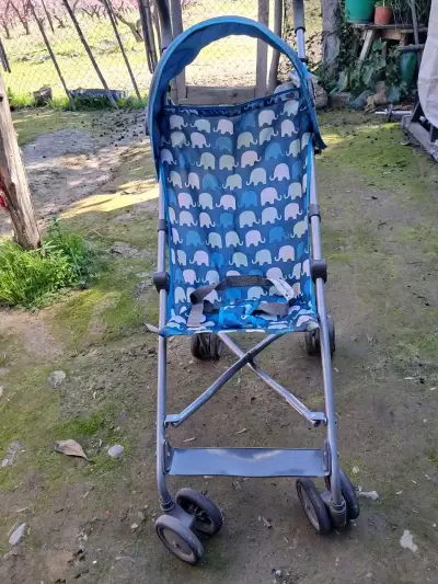 Coche de paseo - miniatura 3