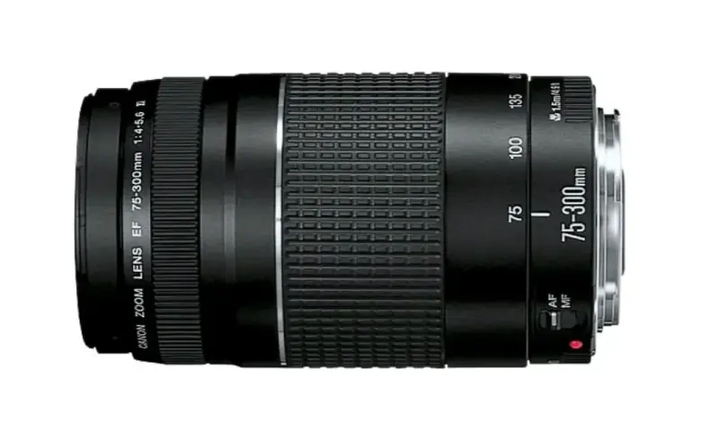 NUEVO - Lente Teleobjetivo Canon Zoom EF 75-300mm - 2