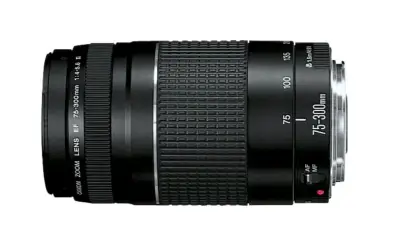 NUEVO - Lente Teleobjetivo Canon Zoom EF 75-300mm - miniatura 2