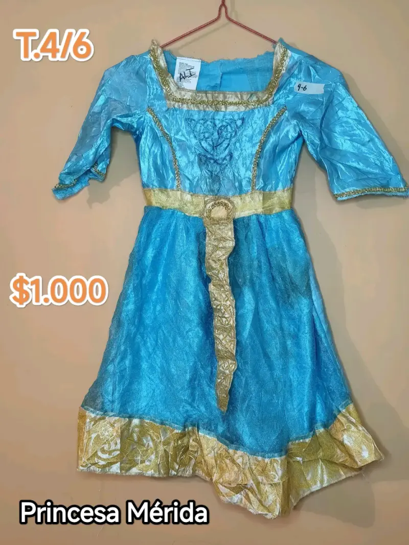 Disfraz de Princesa Mérida Talla 4/6