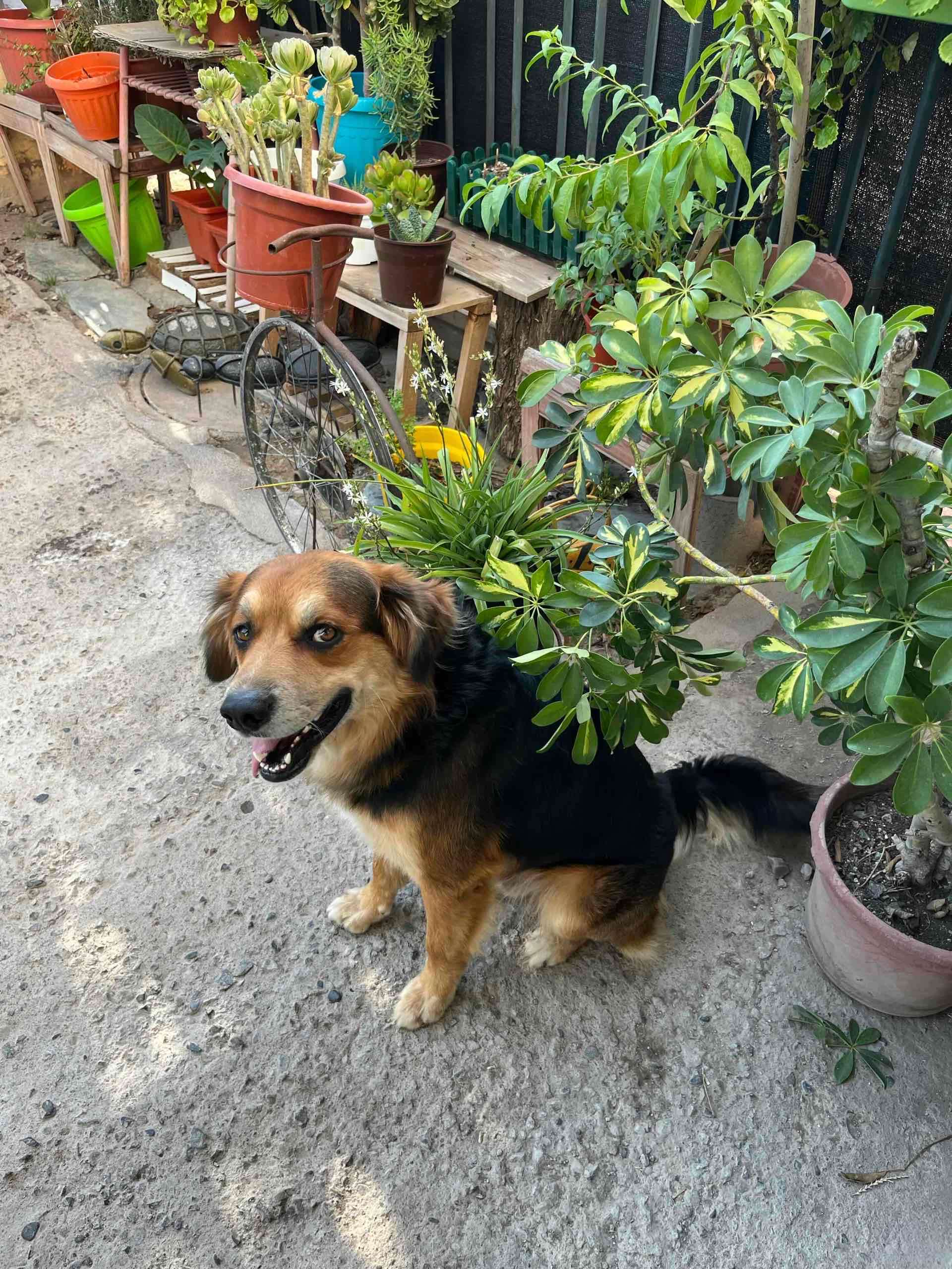 Teo