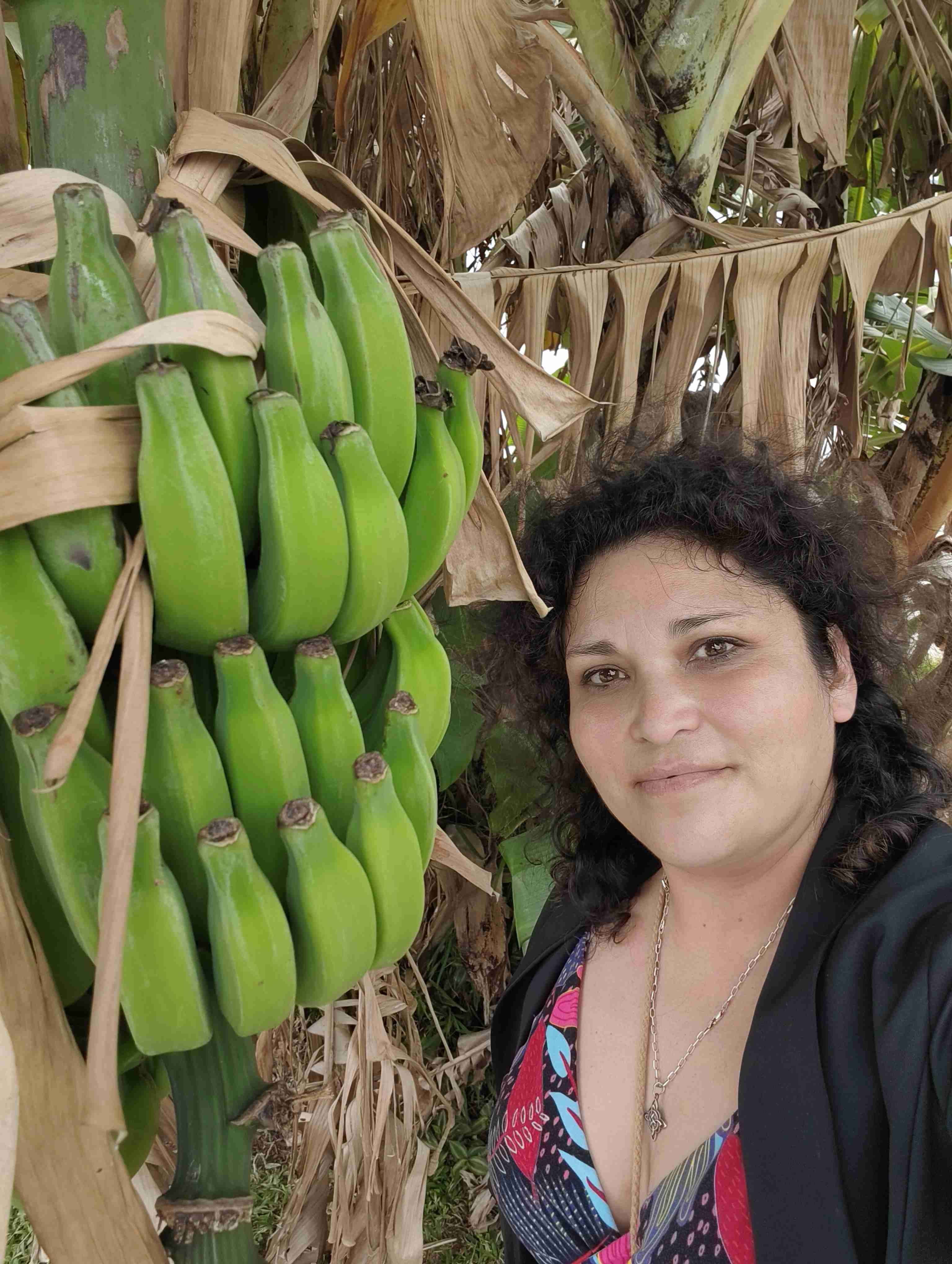 Pamela C.