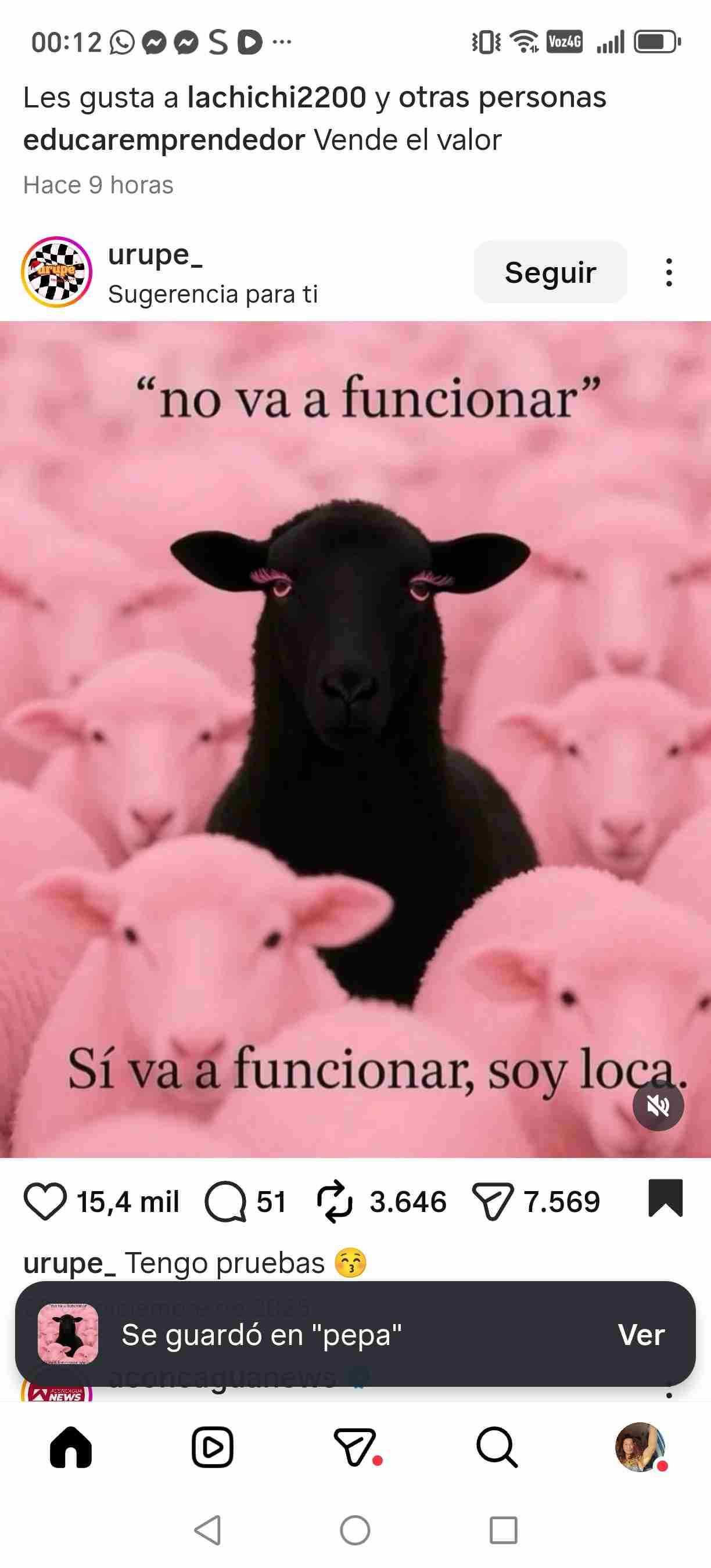 Javiera V.