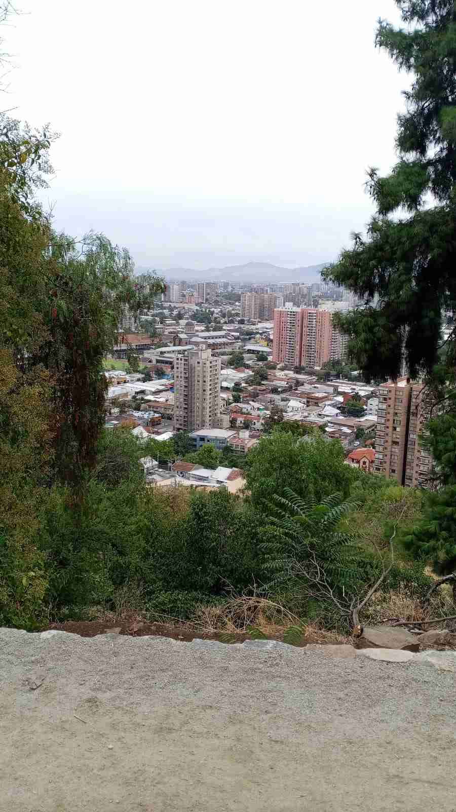 Florencia G.