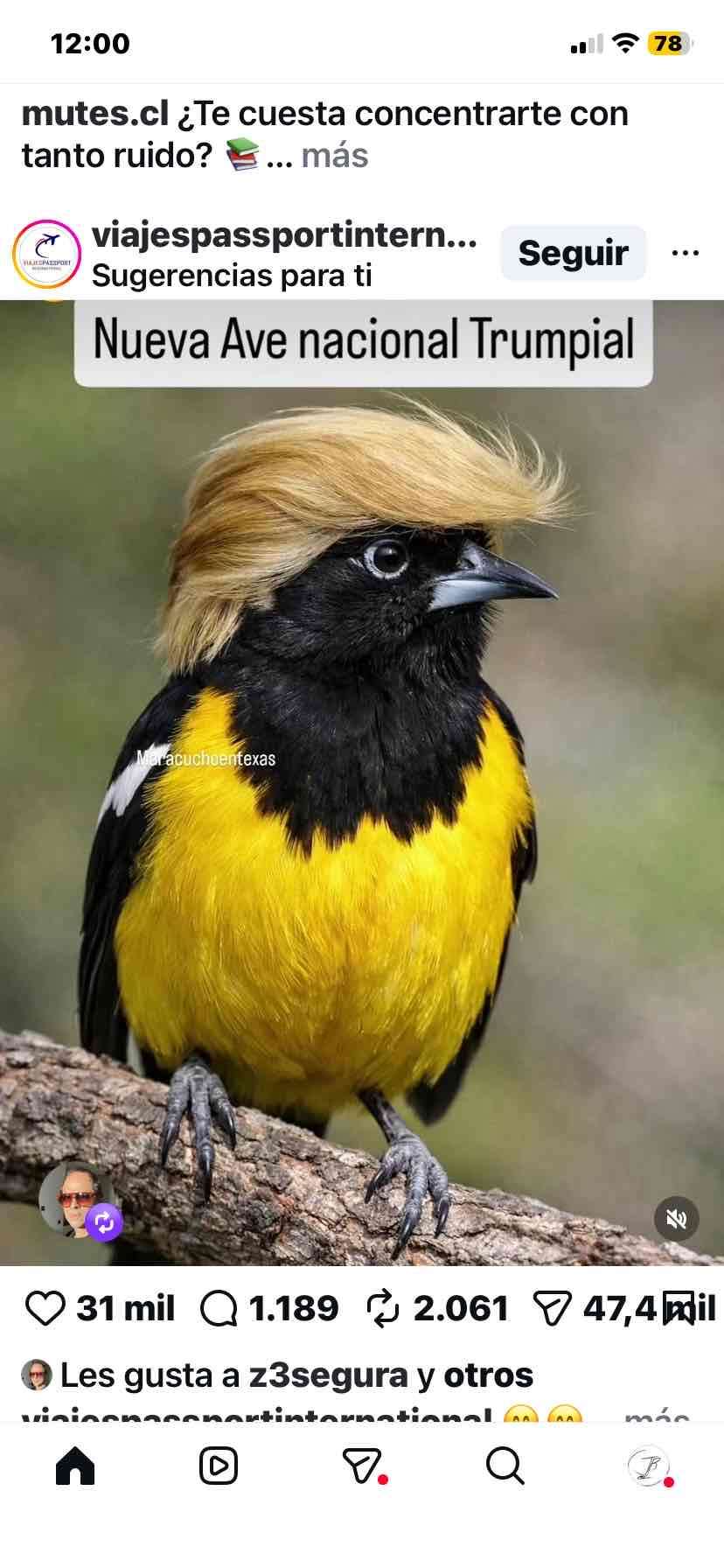 Jackuard