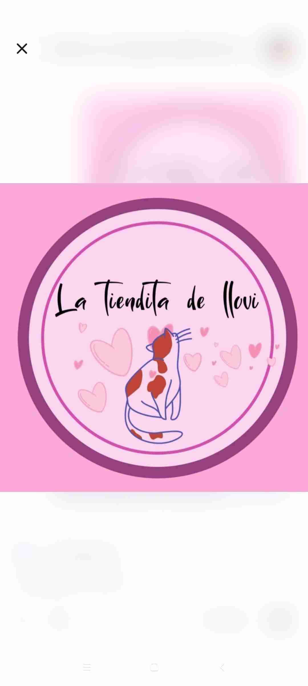 La_Tiendita_De_Llovi