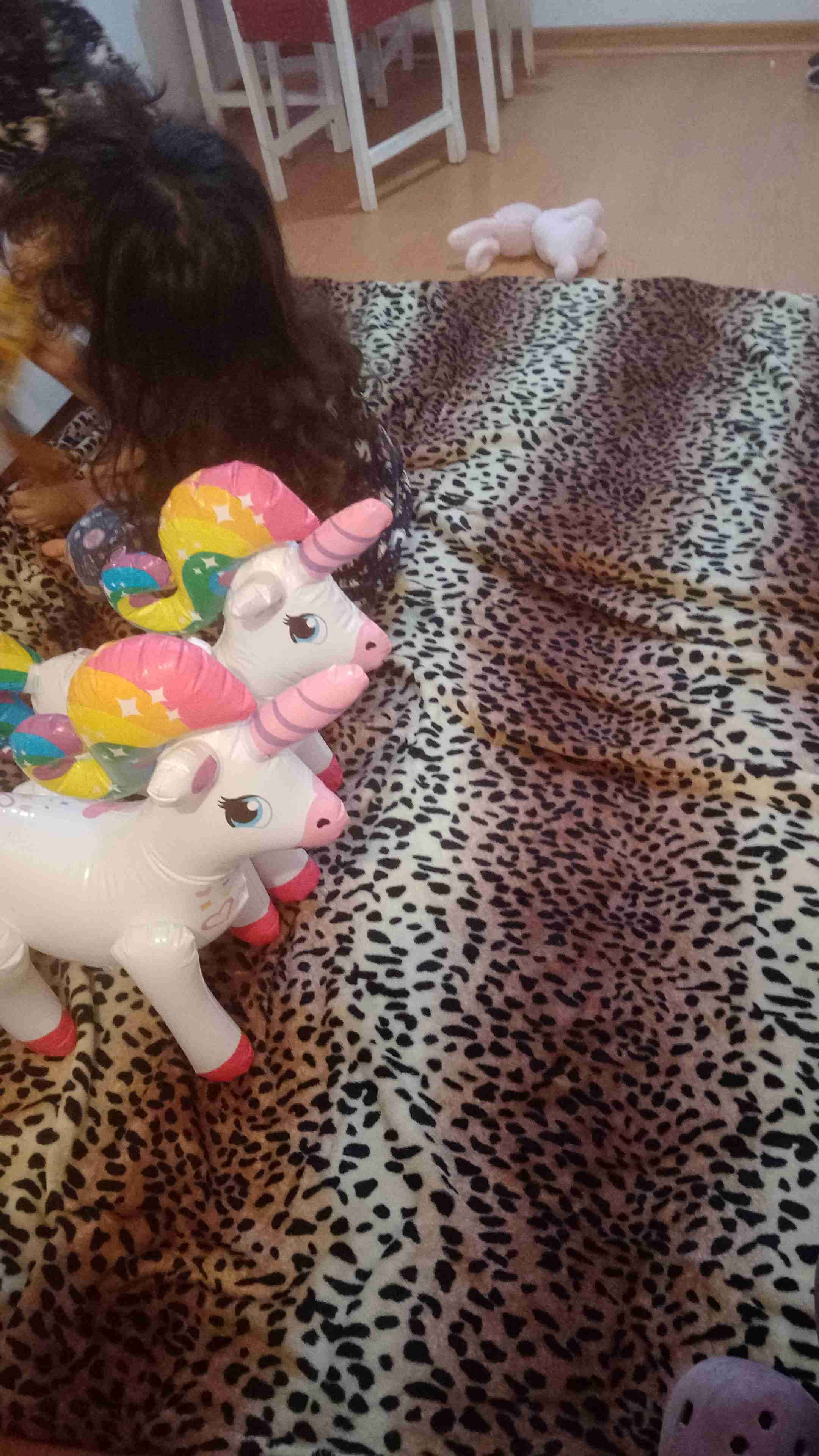 Dani