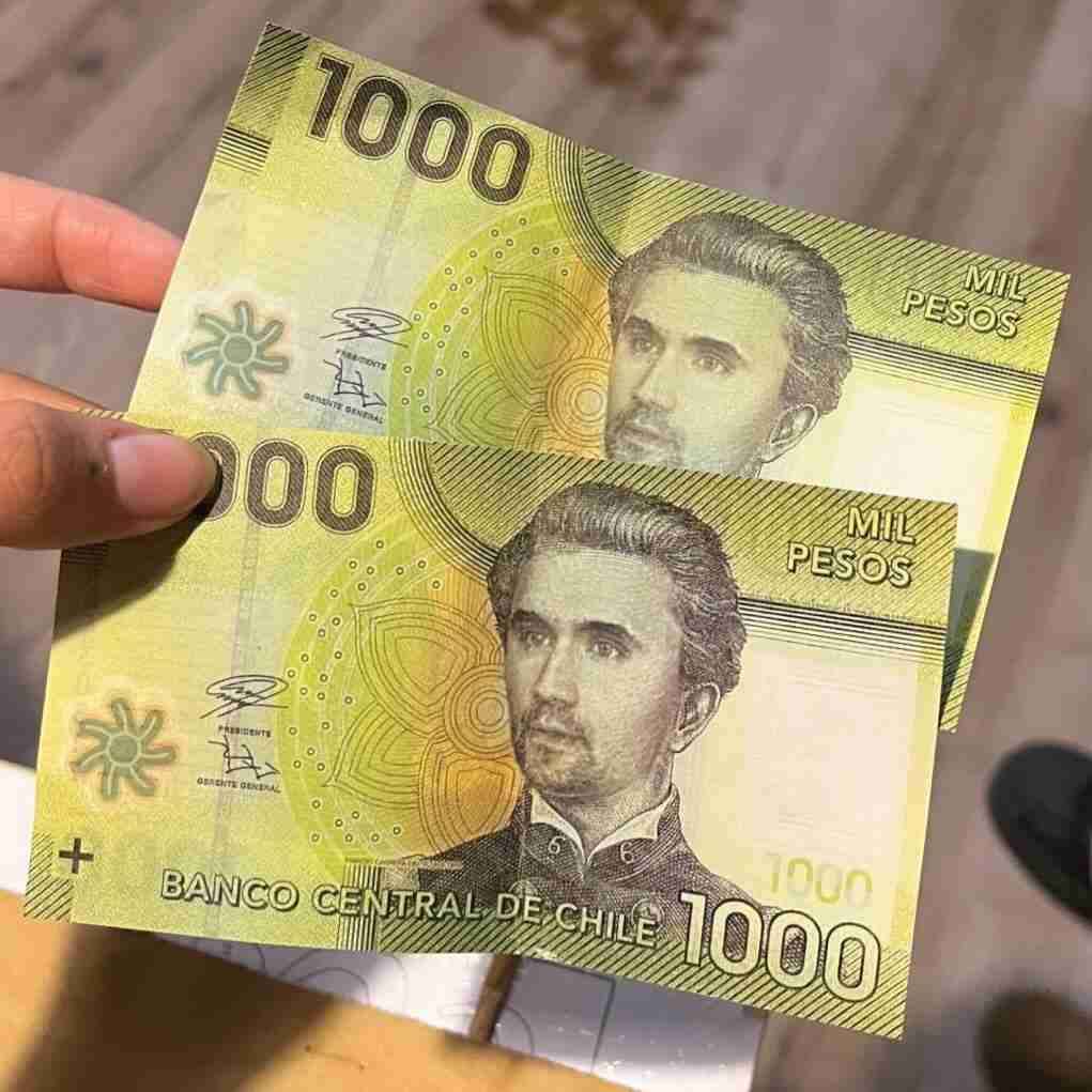 Pedro B.