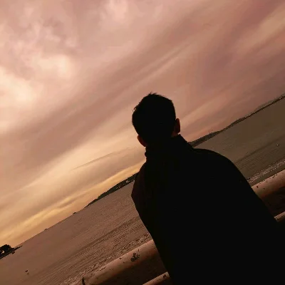 Francisco S.