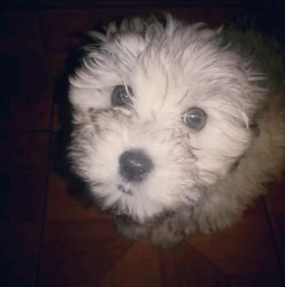 Rodolfo P.