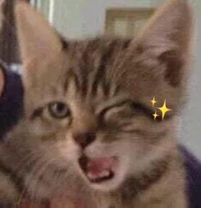 Luz