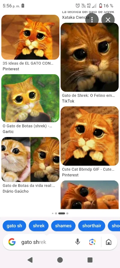 Yetri