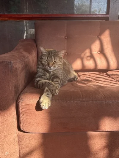 Pablo L.