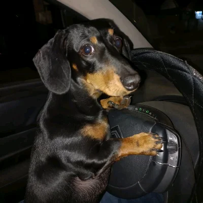 Maximiliano