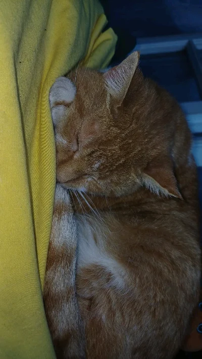 Bruno S.