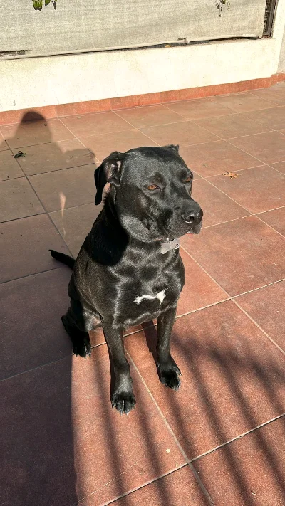 Pablo R.