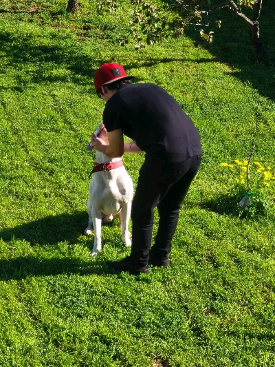 Bruno L.