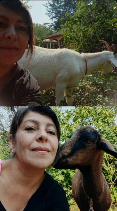 Digna E.