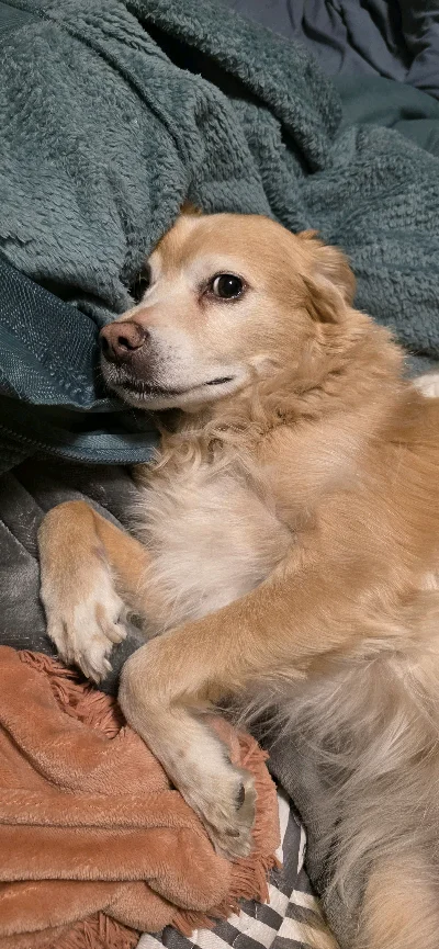 Sebastian M.