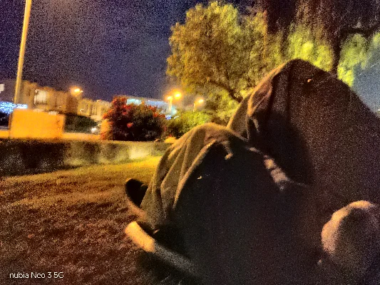 Josue Q.