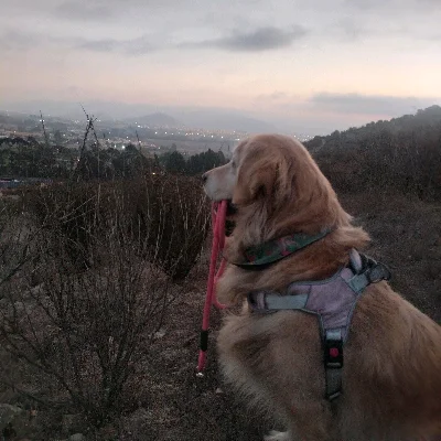 Sofía