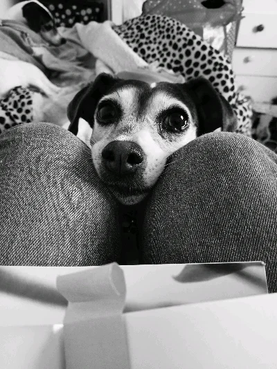 Valee B.