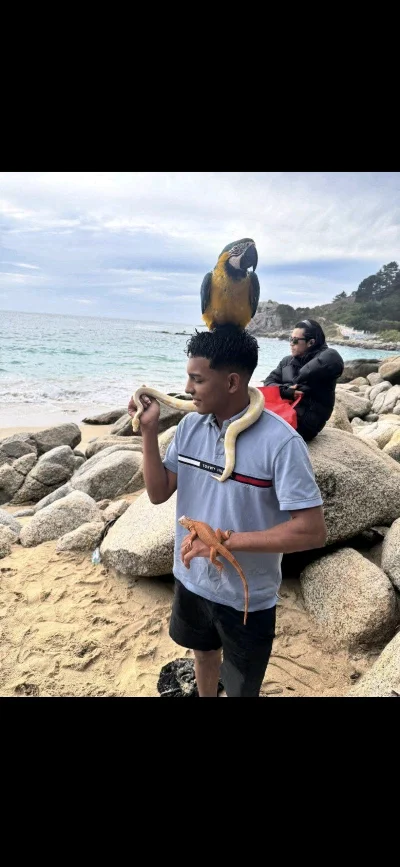 Luis