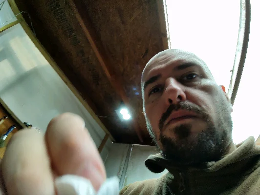 Alexis