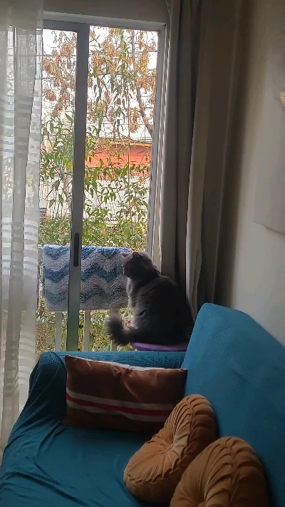 Margarita S.